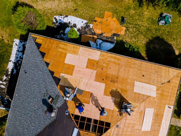 Best Roof Leak Repair  in USA